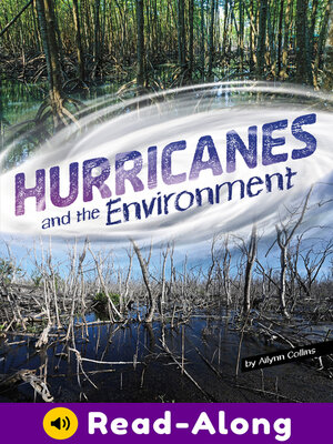cover image of Hurricanes and the Environment